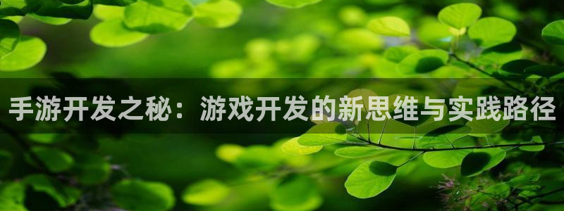 糖果派对大网站：手游开发之秘：游戏开发的新思维与实践路径