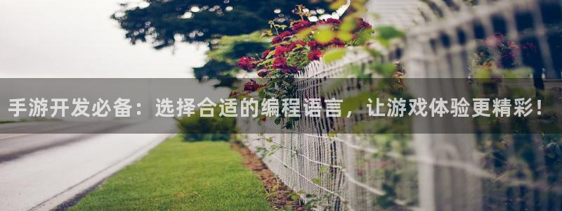 新加坡糖果派对网址：手游开发必备：选择合适的编程语言，让游戏