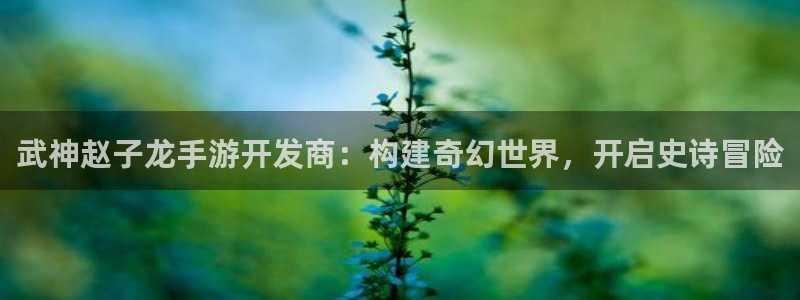 糖果派对游戏试玩：武神赵子龙手游开发商：构建奇幻世界，开启史
