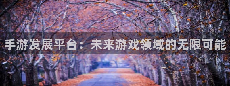 糖果派对软件下载:手游发展平台:未来游戏领域的无限可能