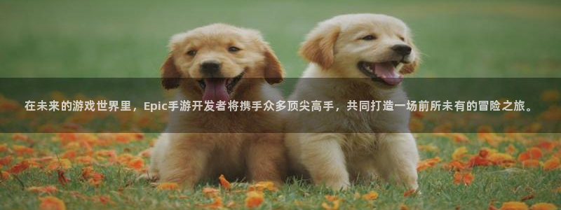 最新糖果派对网站：在未来的游戏世界里，Epic手游开发者将携