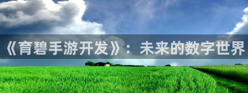 糖果派对官网入口手机版