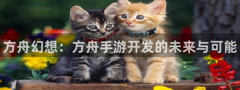 下载糖果派对游戏：方舟幻想：方舟手游开发的未来与可能