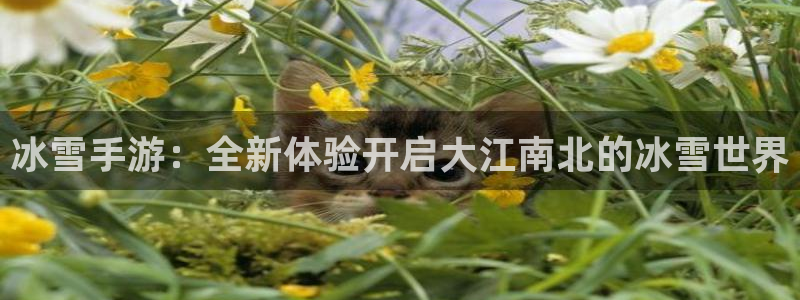 糖果派对无聊的兔子：冰雪手游：全新体验开启大江南北的冰雪世界