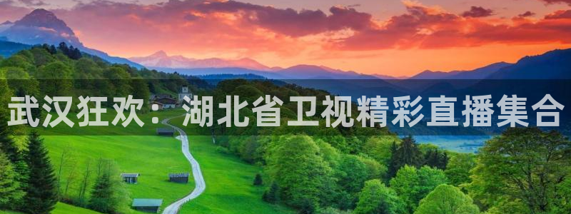 新闻图片