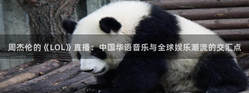 919直播在线看球：周杰伦的《LOL》直播：中国华语音乐与全球娱乐潮流的交汇点