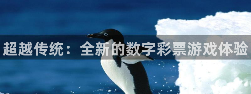 919直播间：超越传统：全新的数字彩票游戏体验